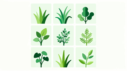 Nine Green Plant Illustrations