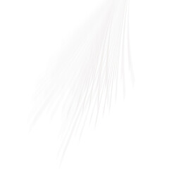 Abstract light rays effect isolated on transparent background