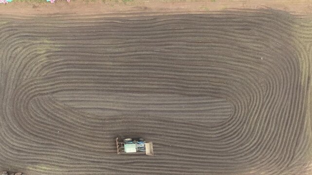 Top down aerial view of tractor working on coffee bean drying yard, creating curved patterns during post harvest agricultural processing.