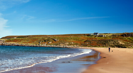 A distant lone adult female walks along the beach through windblown sand dunes at Red Point. By Gairloch and Poolewe. Scotland UK © Fencewood studio