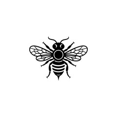 Obraz premium A symmetrical black and white vector illustration of a honey bee. The graphic features clean lines, detailed wings, and a striped abdomen in a minimalist style.