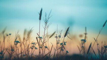 Naklejka premium Delicate wildflowers and tall grasses sway gently in the soft twilight breeze