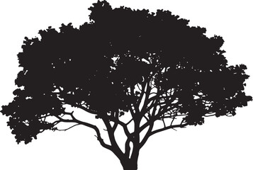 Fototapeta premium Black silhouette of a spreading oak tree with a wide leafy canopy and intricate branch details isolated on a white background for graphic design projects