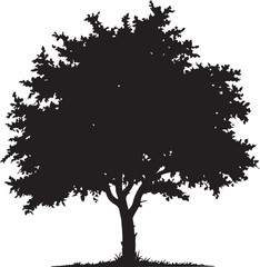 Obraz premium Collection of minimalist black tree silhouettes including pine spruce and deciduous leafy varieties isolated on white background for nature forest landscape logo graphic branding design