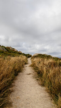 Dirt path through dry vegetation under cloudy sky