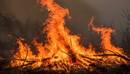 Intense, roaring wildfire consuming dry brush and branches in landscape, with huge orange flames and sparks, symbolizing environmental disaster and destruction