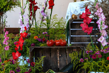 Fototapete bei efototapeten.de bestellen   