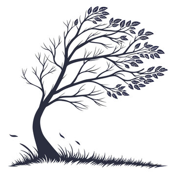 Graceful windblown tree