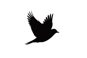 Obraz premium Black bird flying silhouette vector graphic