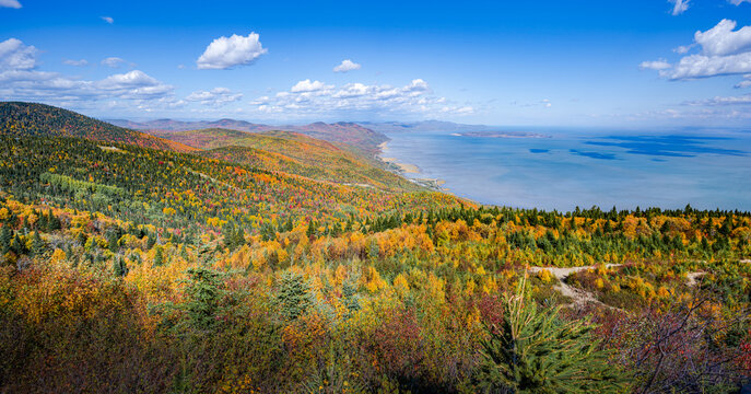 Majestic view over the coast of St-Lawrence river and wonderful colored foliage of Autumn from Massif mountain, Charlevoix, Quebec, Canada