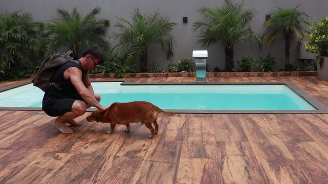 homem faz carinho em cachorro caramelo 