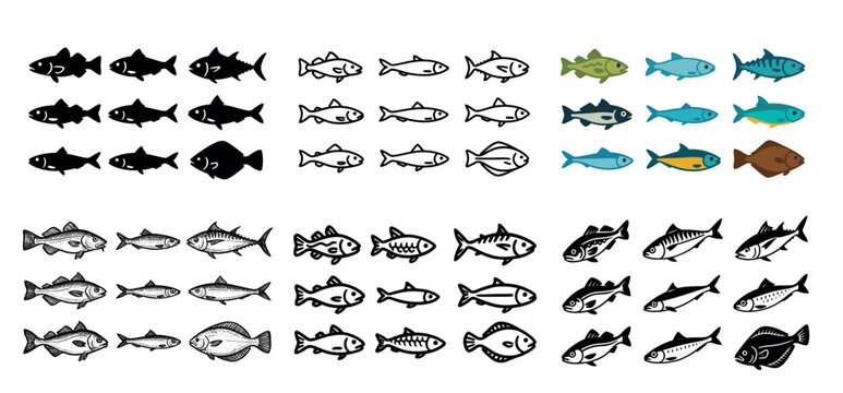 Diverse fish illustrations collection
