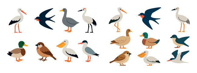 Obraz premium Colorful Bird Icons