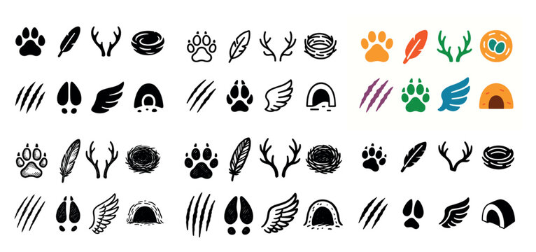 Animal tracks and nature symbols collection