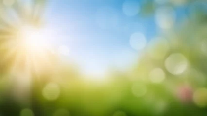 Blurred bokeh nature background with colorful flowers in the garden © Mariusz Blach
