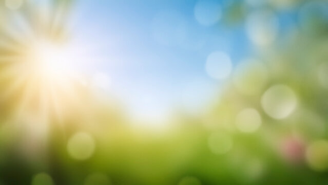 Blurred bokeh nature background with colorful flowers in the garden