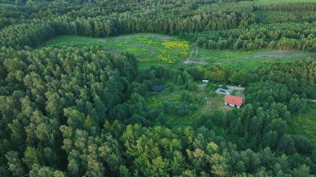 Aerial view shows a solitary house with orange roof, gravel driveway, car, and outbuilding amid mixed forest, yellow wildflowers, meadow, dirt track, and distant lake.