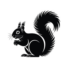 Obraz premium Black and white squirrel with bushy tail animal wildlife d