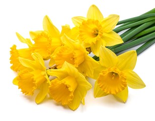 A close-up studio shot showcases a cluster of vibrant yellow blossoms, gracefully laid on a white surface with their green stems