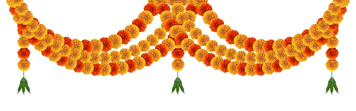 Marigold flowers hanging arch gate for hindu festivals and invite decorative design element with mango leaves