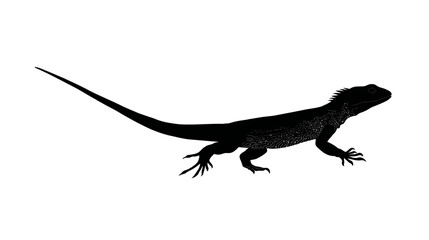 Dynamic black lizard silhouette isolated on white background. Detailed reptile outline, side view, graphic element for wildlife themes.