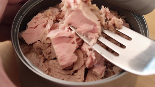 Silver fork scoops pink tuna chunks from opened can in close-up over neutral background with soft shadows within food preparation context