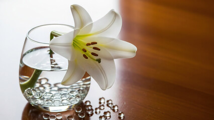 White Lily in Clear Glass Vase on Wooden Surface
