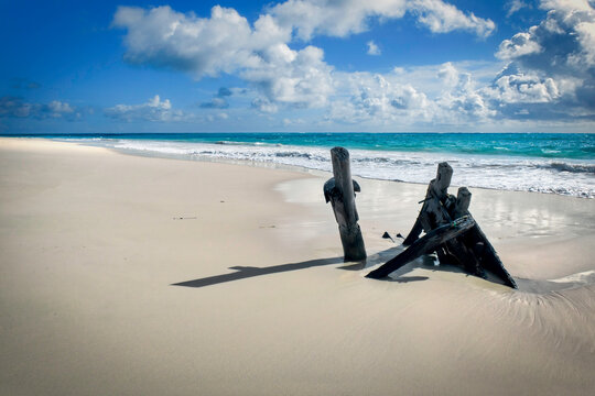 Beach Timbers