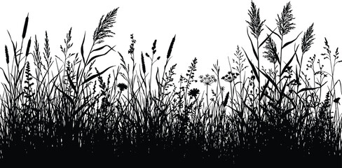 Wild grass and meadow plant silhouettes vector, dense natural foliage border with reeds and flowers, countryside landscape design, black and white illustration © MdHasan