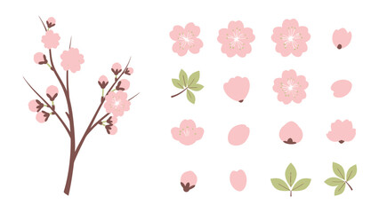 Pink Cherry Blossom Branch and Elements, Spring Floral Design Elements