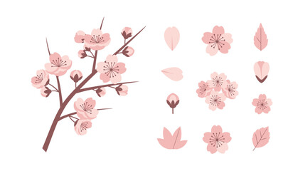 Fototapeta premium Pink Cherry Blossom Branch and Petals - Spring Floral Elements