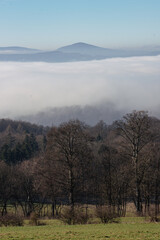 Winterliche Nebellandschaft im Hochformat in Th&uuml;ringen mit Birken auf einer Wiese im Vordergrund