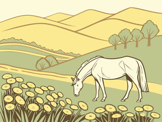 horse in the meadow