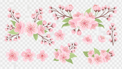 Pink Cherry Blossom Branches with Green Leaves Isolated on Transparent Background