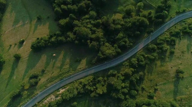 Stunning top-down aerial of sinuous asphalt road twisting through sun-dappled green meadows and tree groves on rolling hills. Ultimate scenic drive for travel stock footage