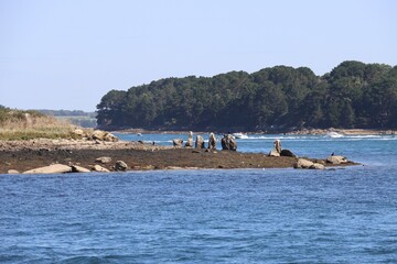 Site m&eacute;galithique de l'ile de Gavrinis dans le Golfe du Morbihan en Bretagne