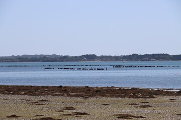 Plage du Vran, Ile Aux Moines dans le Golfe du Morbihan