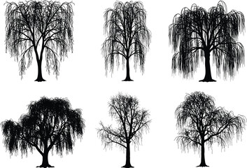 Weeping Willow Tree Silhouette Vector Collection With Elegant Drooping Branches, Isolated Nature Elements For Logo, Poster, Landscape Design © Nusaiba's World
