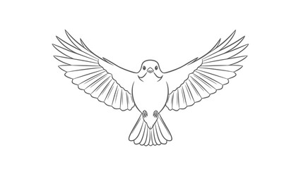 Obraz premium Bird in flight with outstretched wings