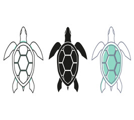 Obraz premium Three turtle illustrations showcasing different styles and color schemes in a linear design