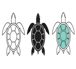 Obraz premium Three stylized turtle illustrations showcasing different color schemes and outline variations