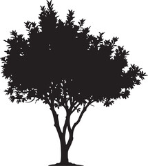 Obraz premium Black tree silhouette with leafy branches and detailed foliage isolated on a white background for landscape design nature graphics environmental projects and minimalist vector art projects