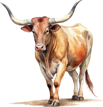 Longhorn Cattle Cow Animal Classic Watercolor Illustration