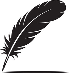 Obraz premium Black feather with white quill tip isolated on white background