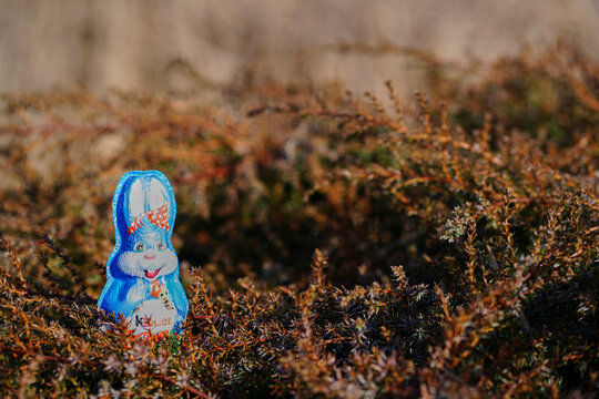 Easter Kinder bunny close-up on a wooden surface with soft background. Strong branding, vivid foil colors, and natural spring textures outdoors.