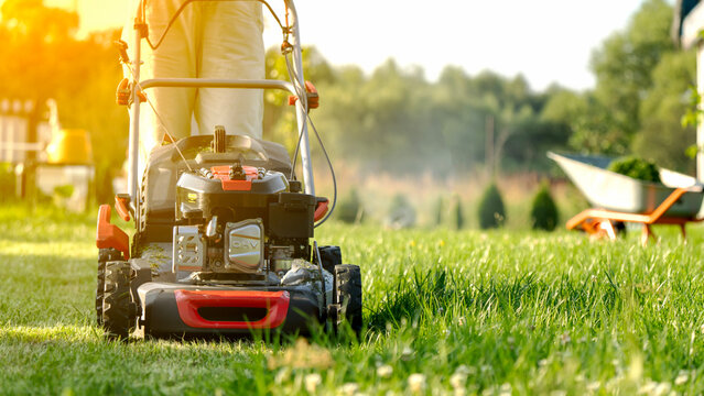 woman with lawn mower in garden plot