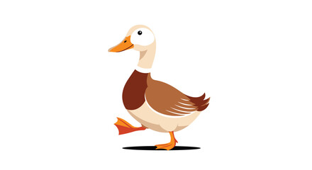 Obraz premium Simple illustration of a brown and white duck walking on a white background suitable for children educational materials.