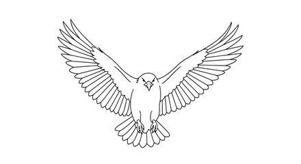 Obraz premium Powerful eagle with wings widely spread in a detailed black and white line art drawing representing freedom and strength.