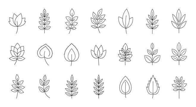 Collection of twenty-one diverse leaf types in a minimalist black and white line art style for botanical studies and decor.