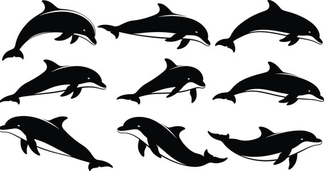 Black silhouettes of dolphins swimming white background © Shamimara creative 